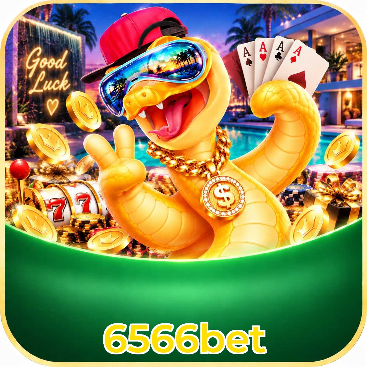6566bet App vs Web