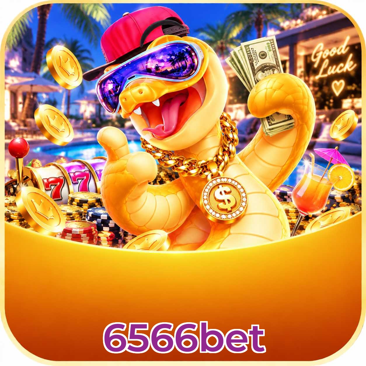 6566bet App FAQ