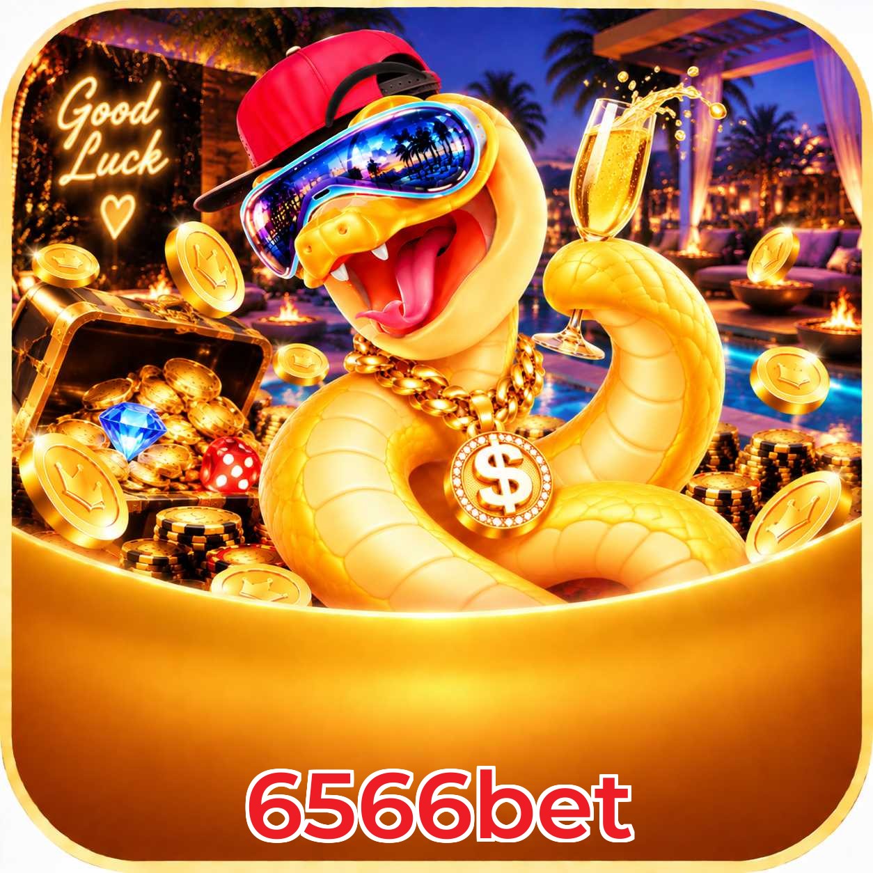 6566bet Compatibilidade